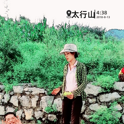 砚水居天然野生山货