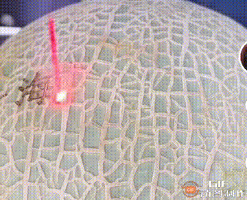 QQ图片20230511142923.gif