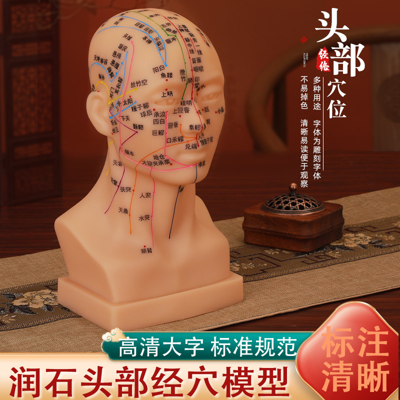头部穴位模型教学镊子头模面部全脸按摩假头刻字高清刻字人体经络