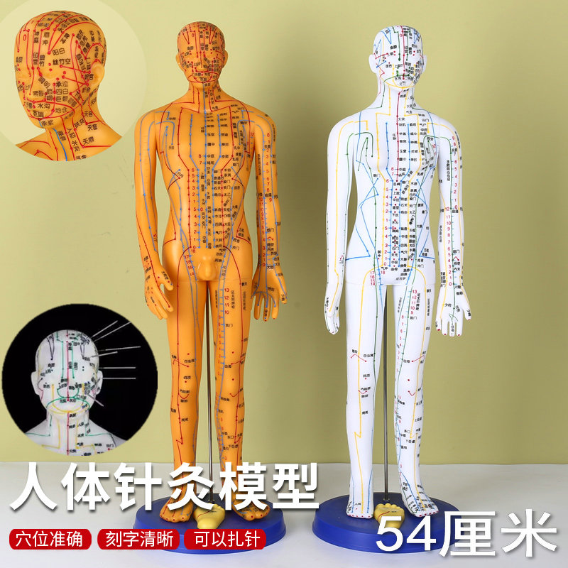 人体针灸模型人经络穴位中医全身十二铜人模特图练习小皮人可扎针