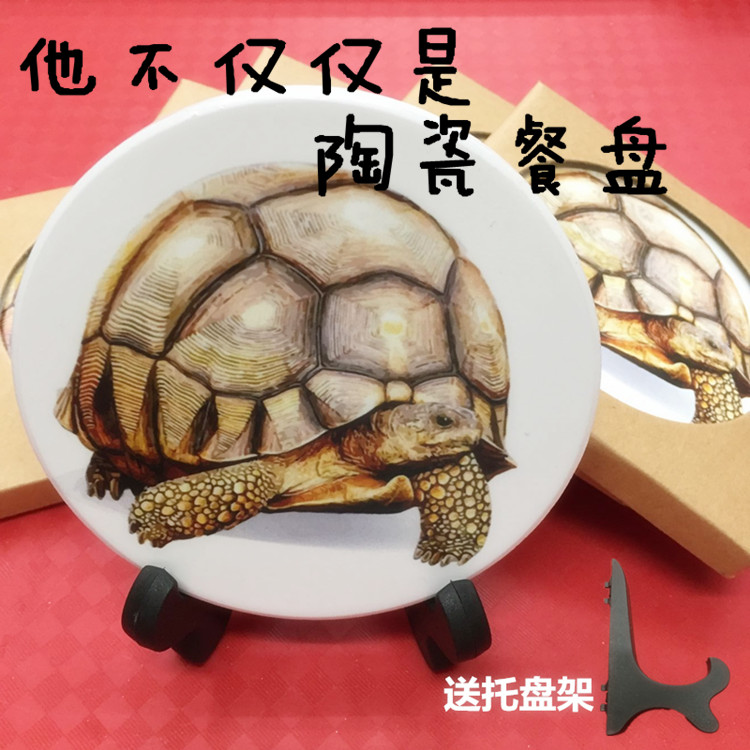 New products Angoloca Lukland tortoise Turtle Ceramic Dinner Basin Home Art Pendulum wooden case furnishing Absorbent Insulation Mat