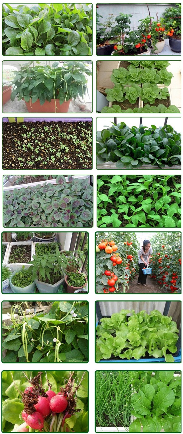 Dụng cụ trồng thêm lớn làm vườn cung cấp rau ban công lớn xẻng ba mảnh nhíp khoai môn trồng xẻng vòi sen tưới cây