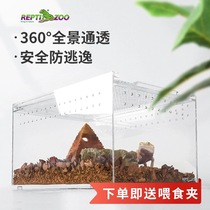 New Reptizoo Acrylic Reptile Pet Breeding Box Horned Frog Gecko Insect Grasshopper High Translucent Breeding Box