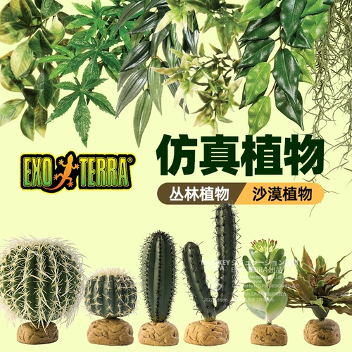 Сиджин с восхождением на поднимание