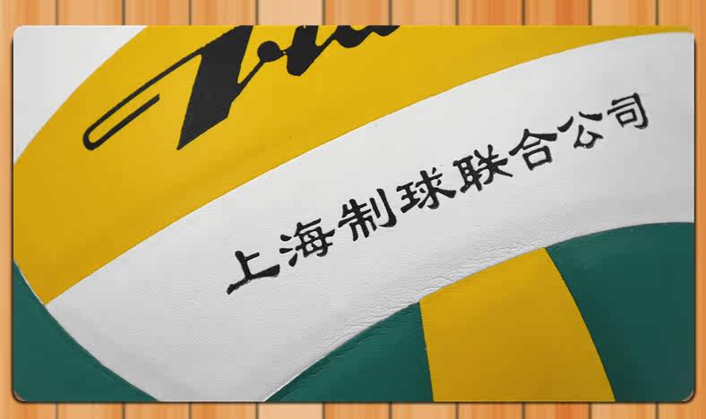 Ballon de volley-ball - Ref 2011710 Image 6
