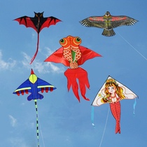 Weifang kite new software cartoon children beginner butterfly plane Eagle breeze easy fly adult large kite