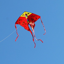 Weifang Kite Butterfly Kite Children Adult Large Beginner Kite Breeze Easy Flying Kite Wheel