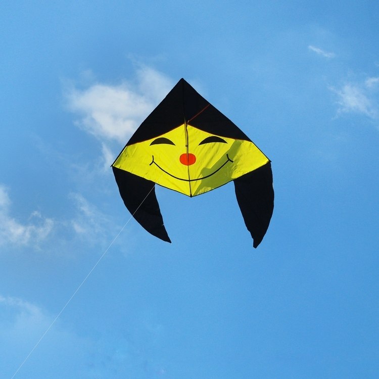 Weifang Kite Auspicious Smiley Face Kite Children Cartoon Kite Beginners Recommend Microwind Easy To Fly Large Adults