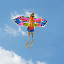Weifang kite Phoenix kite large kite children cartoon Kite kite wire wheel easy to fly