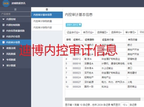 Dibo data internal control disclosure index Internal Control Evaluation defect data content internal control audit agent service.