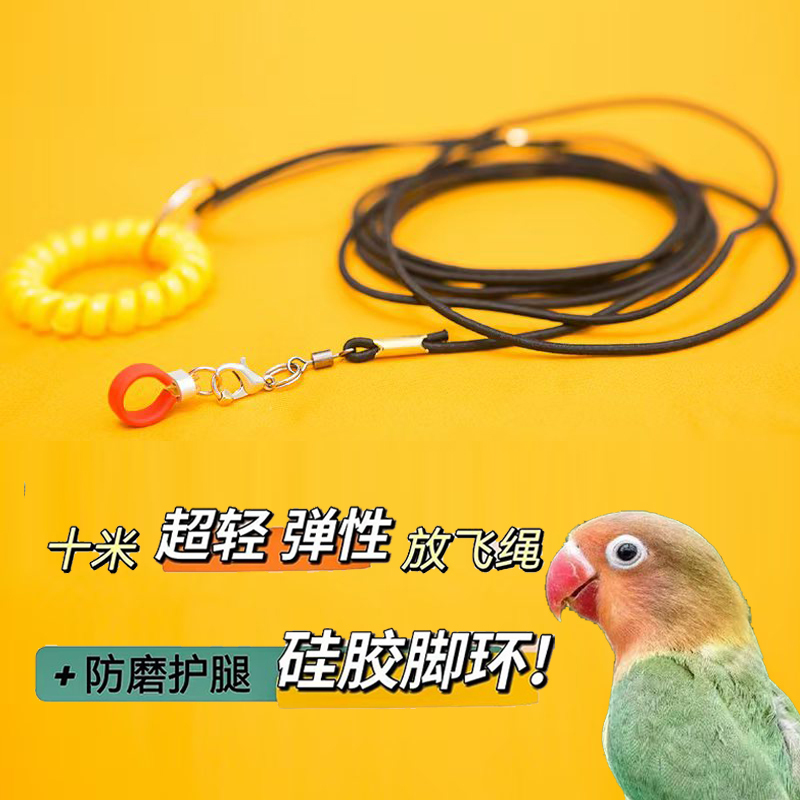 Parrot Flying Leash Does Not Hurt Feet, Ultra-Light Training Leash for Budgerigars, Cockatiels, Mynas, Foot Ring, Anklet, Neck Strap, Bird Walking Flying Leash Parrot Flying Leash Does Not Hurt Feet, Ultra-Light Training Leash for Budgerigars, Cockatiels, Mynas, Foot Ring, Anklet, Neck Strap, Bird Walking Flying Leash