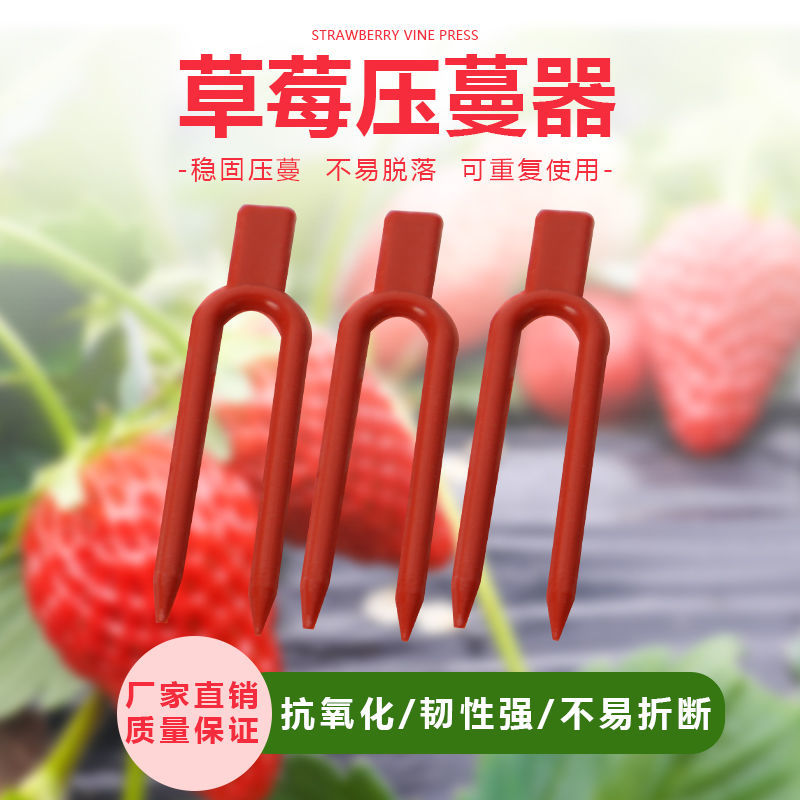 Strawberry vine press Pure raw material round mouth seedling fork rooting fixing clip Vine man holder Watermelon plastic fork