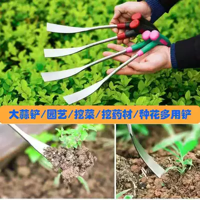 Garlic shovel for agriculture, digging garlic, planting flowers, digging wild vegetables, digging medicinal materials, gardening potted shovel, household curved shovel