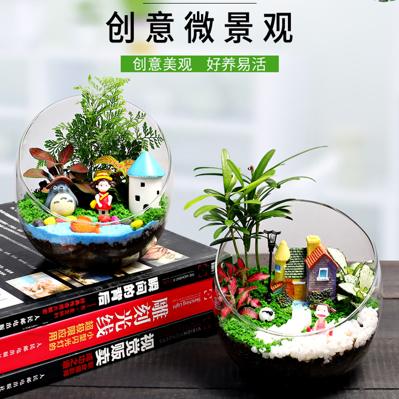 Micro landscape desktop succulent plant creative mini potted DIY handmade moss ecological glass bottle couple gift