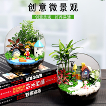 Micro landscape desktop succulent creative mini potted DIY handmade moss ecological glass bottle couple gift
