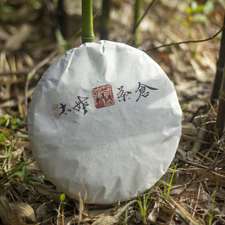 Tibetan mountain courtyard 2197 autumn big leaf winter tea cake fuding white tea mountain series 300g box