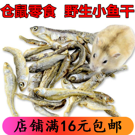 Wild fresh water small fish dry mixed grain hamster food turtle water turtle food hamster snacks salt-free small fish dry 30g
