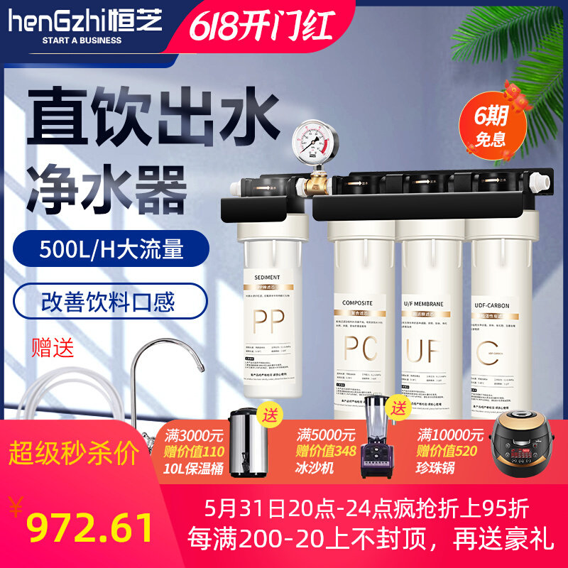 Hengzhi Water Purifier Commercial Milk Tea Shop Kitchen Hotel Home Straight Drinking Tap Water Faucet Water Purifier Filter