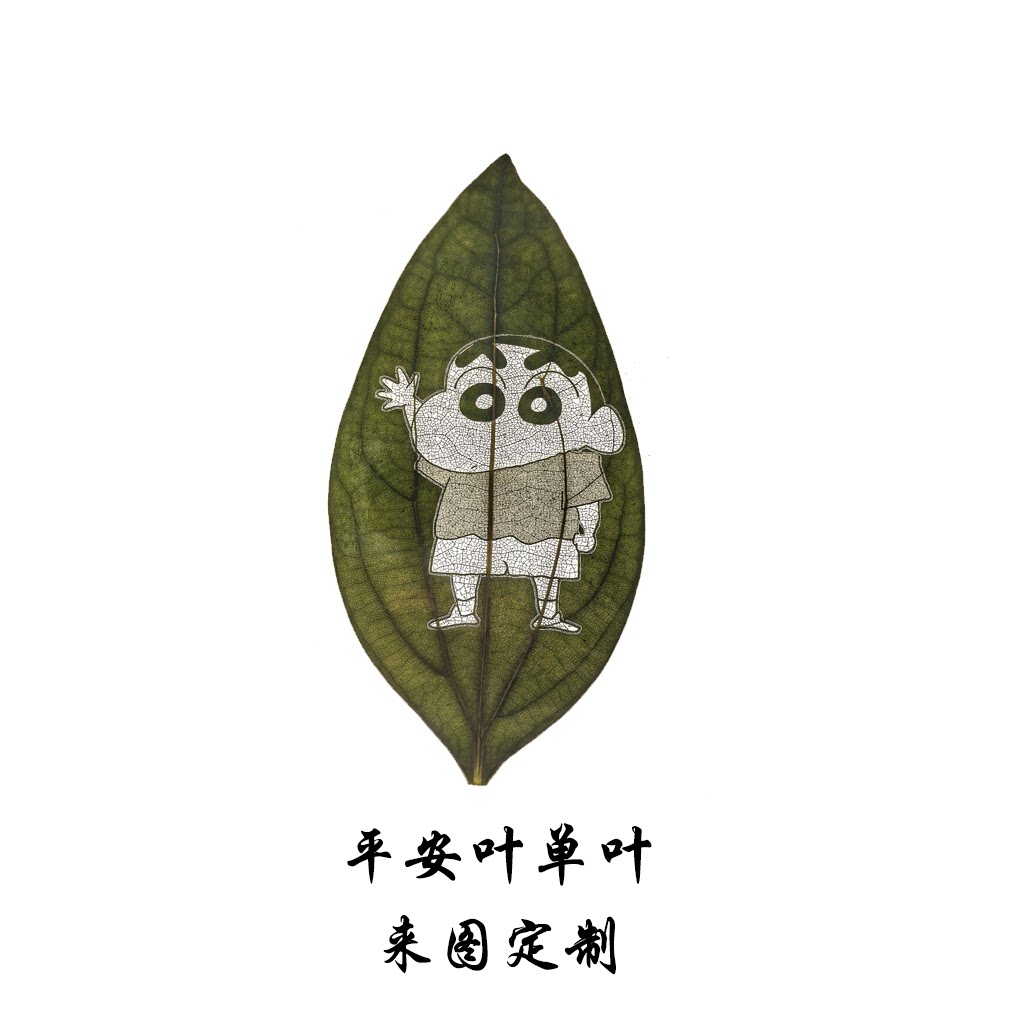 新艺DIY照片定制的LOGO