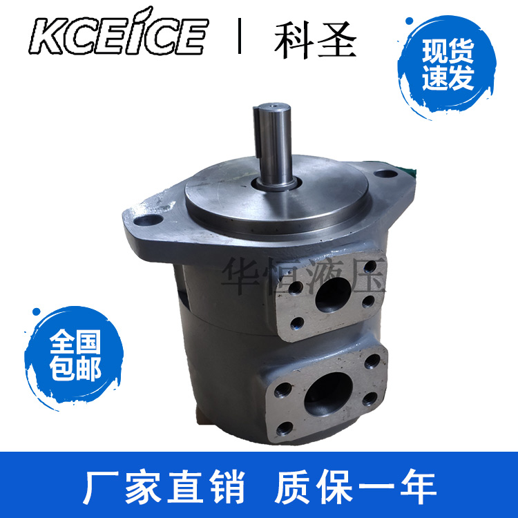SQP1 SQP2-5-7-9-8-10-12-14-17-19-21-1B-1A-1C-18 Taiwan blade pump