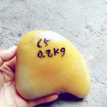 Natural Yellow Dragon Jade yellow wax stone original stone stone chicken oil yellow wool 0 8kg