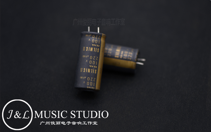 Japan Original Fashion Ina ELNA SILMIC II Frosted Black Leather Decoding Biliary of Fever Electrolytic Capacitor