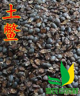 Earth Metaphorworm Ground Beetle Dry Chinese Herbal Medicine Native Turtle Soil Turtle Earth $500 gr