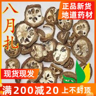 August Za foretel bomb August bomb dog waist in August melon 500g full of two