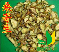 Chinese herbal medicine mulberry and mistletoe 500g full two