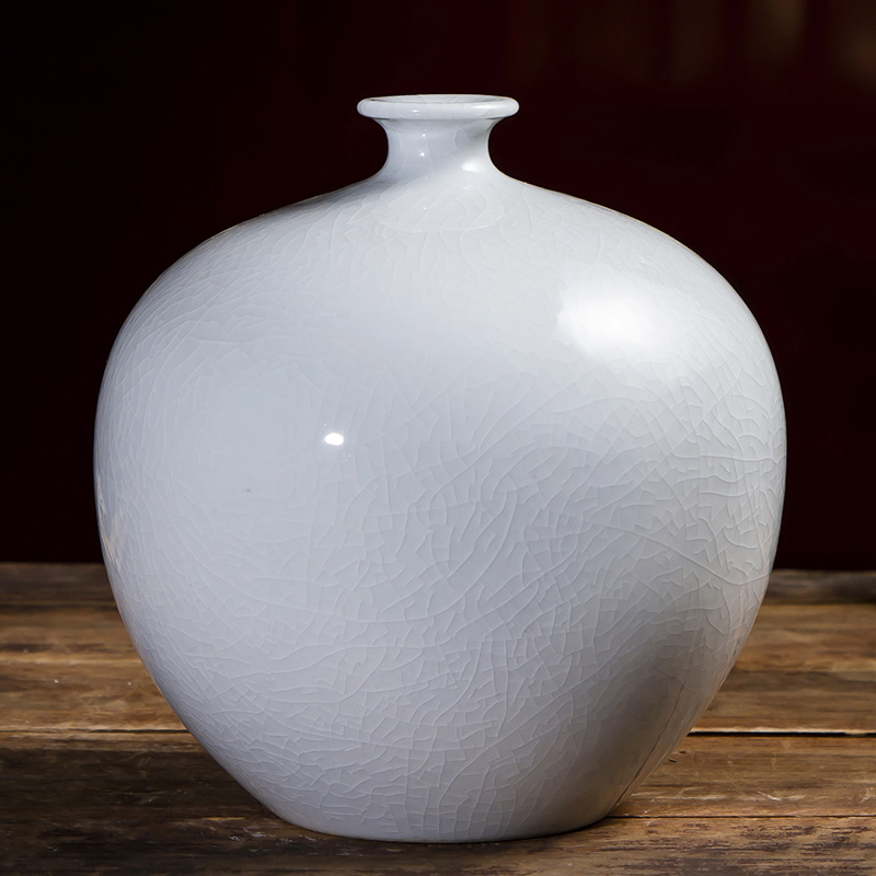 Jingdezhen ceramic vase furnishing articles white porcelain Chinese archaize sitting room ark, porcelain decorations arts and crafts