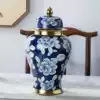 Jingdezhen hand painted blue and white porcelain general pot ceramic vase ornaments large Chinese living room home decorations