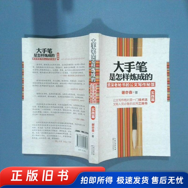 大手笔是怎样炼成的 实践篇 谢亦森著 长江文艺出版社-淘宝Taobao | 天猫Tmall