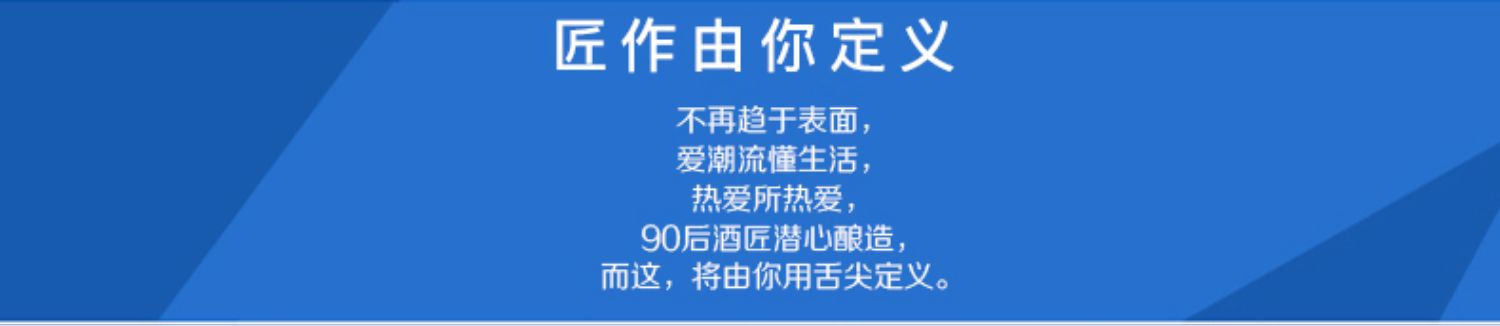 雪花啤酒勇闯天涯9度500ml12听