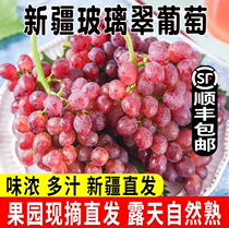 Xinjiang Turpan grapes glass crisp without seeds should season fresh fruit whole boxes non-nuclear Cute red with 4 catties