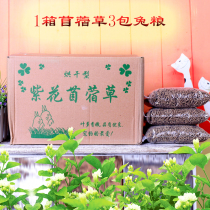 (Rabbit Rabbit Food Foundation Package) Clover Grass 1 Box 1000 Grams Rabbit main grain Three catties