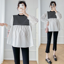 2024 new pregnant women splicing striped doll-shirt with small fresh and slim fit 100 lap shirt sweet and reduced-age blouse