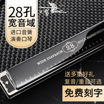  German imported reed Swan 28-hole harmonica polyphonic C-tone accent adult beginner male and female professional performance level