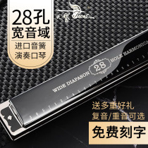  German imported reed 28-hole harmonica C-tone polyphonic accent Male adult beginner Professional performance grade student