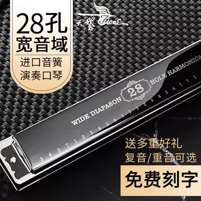 German imported reed 28-hole harmonica C-tone polyphonic accent Male adult beginner Professional performance grade student