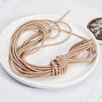 Верблюд 5 метров