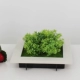 Mô phỏng khung ảnh mọng nước treo tường trang trí tường phòng khách TV tường trang trí 3d cây xanh giả hoa mảnh - TV
