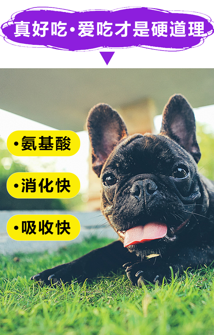 Gudeng dog dinh dưỡng kem mèo dinh dưỡng kem pet kitten mèo puppies Teddy Vàng Tóc hơn gấu dinh dưỡng và sản phẩm y tế sữa cho mèo 3 tháng tuổi