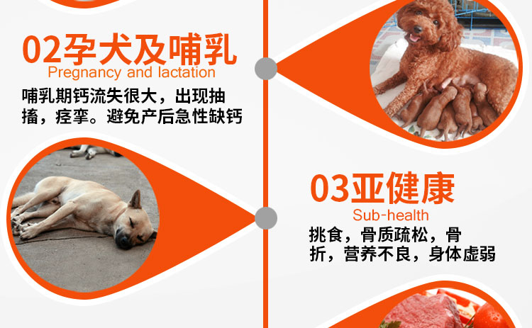 Viên nén canxi chó của chó con chó con canxi xương nhỏ vừa và lớn chó mèo vật nuôi gấu bông vàng thú cưng viên canxi - Cat / Dog Health bổ sung Sữa cho chó con giá rẻ