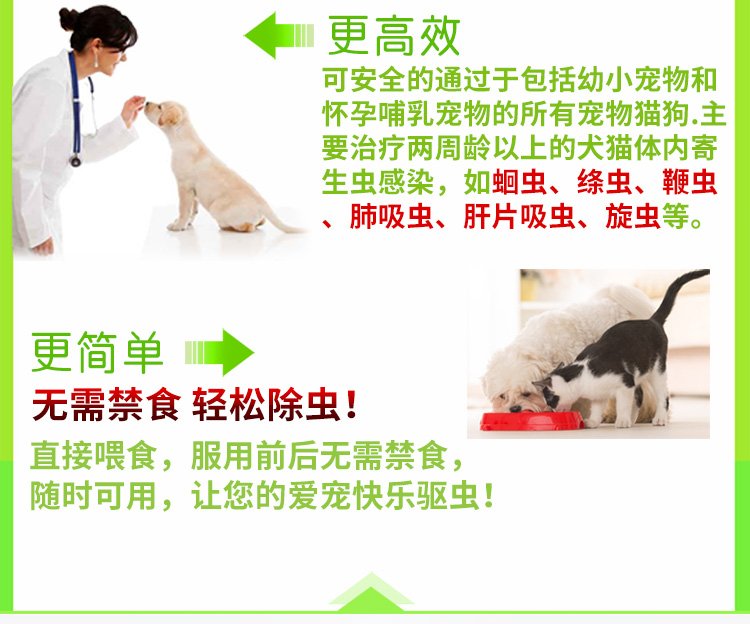 Thiên thần ruột, Chó, Mèo, Mèo, Chó tiêu hóa, Chó con, Thú cưng, Tẩy giun, Thuốc trừ sâu, Ruột - Cat / Dog Health bổ sung sữa cho mèo sơ sinh