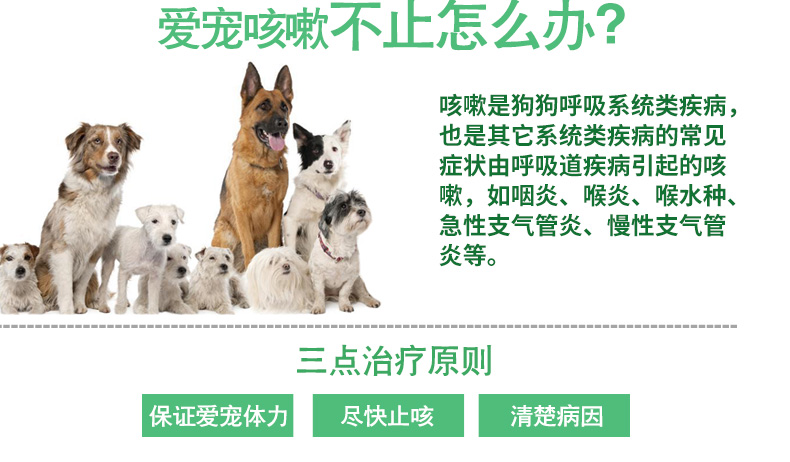 Chó, cảm lạnh, ho, thú cưng, chó, viêm phế quản, hen suyễn, ho, khạc đờm, Thiên thần, Ho - Cat / Dog Health bổ sung sữa cho chó poodle