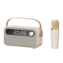 A birthday gift for a girl to give to her girlfriend or friend a practical little surprise for a long-distance relationship with her wife a high-end Bluetooth speaker