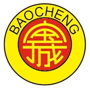 广西宝城食品企业店的LOGO