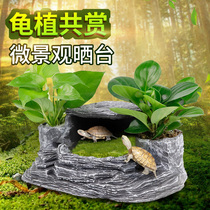 Tortoise drying platform climbing platform to avoid cave drying back table natural stone drying turtle platform natural stone super large climbing self-made