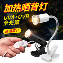 Turtle box Turtle artifact Turtle tank supplies Household turtle tank Sun table Landscaping Fish turtle mixed tank Large sun back light