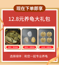 Gift of a gift and a big gift for the turtle